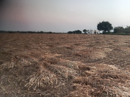 વેચવાની છે