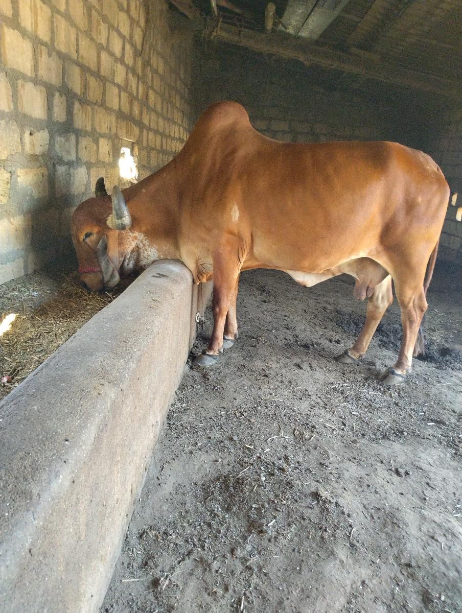 थंबनेल 3