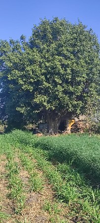 थंबनेल 2