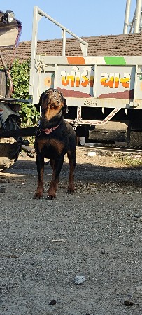 મીટીંગ માટે છે.