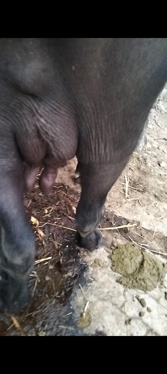 થંબનેલ 3