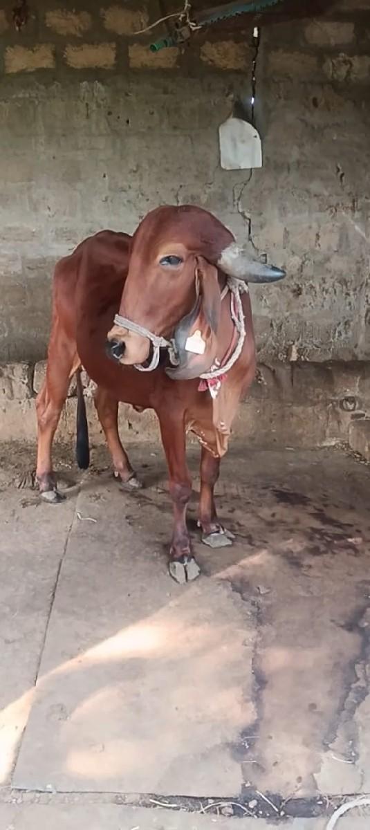 थंबनेल 3