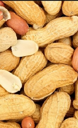 39 madvi biyaran ma apvani