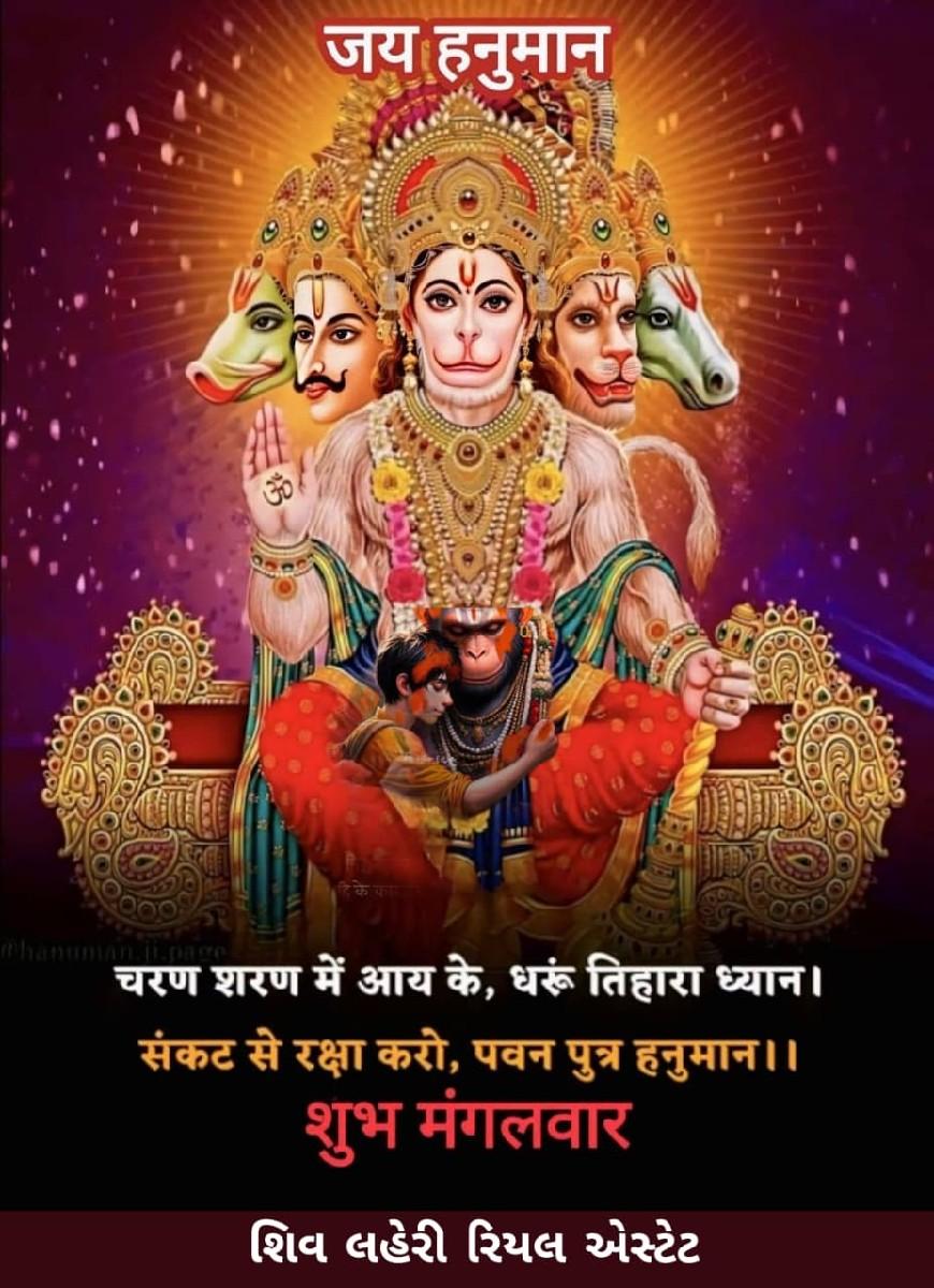 *જમીન લે વેચ માટે સંપર્ક કરો*