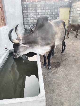 थंबनेल 2