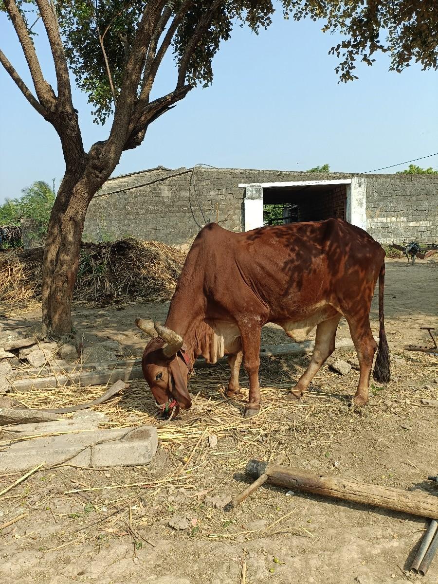 थंबनेल 2