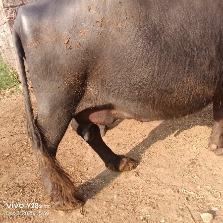 थंबनेल 2