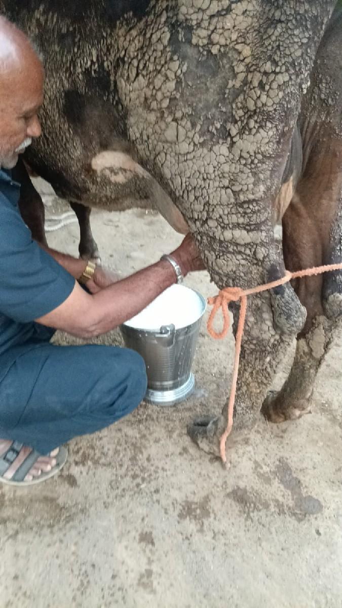 થંબનેલ 3