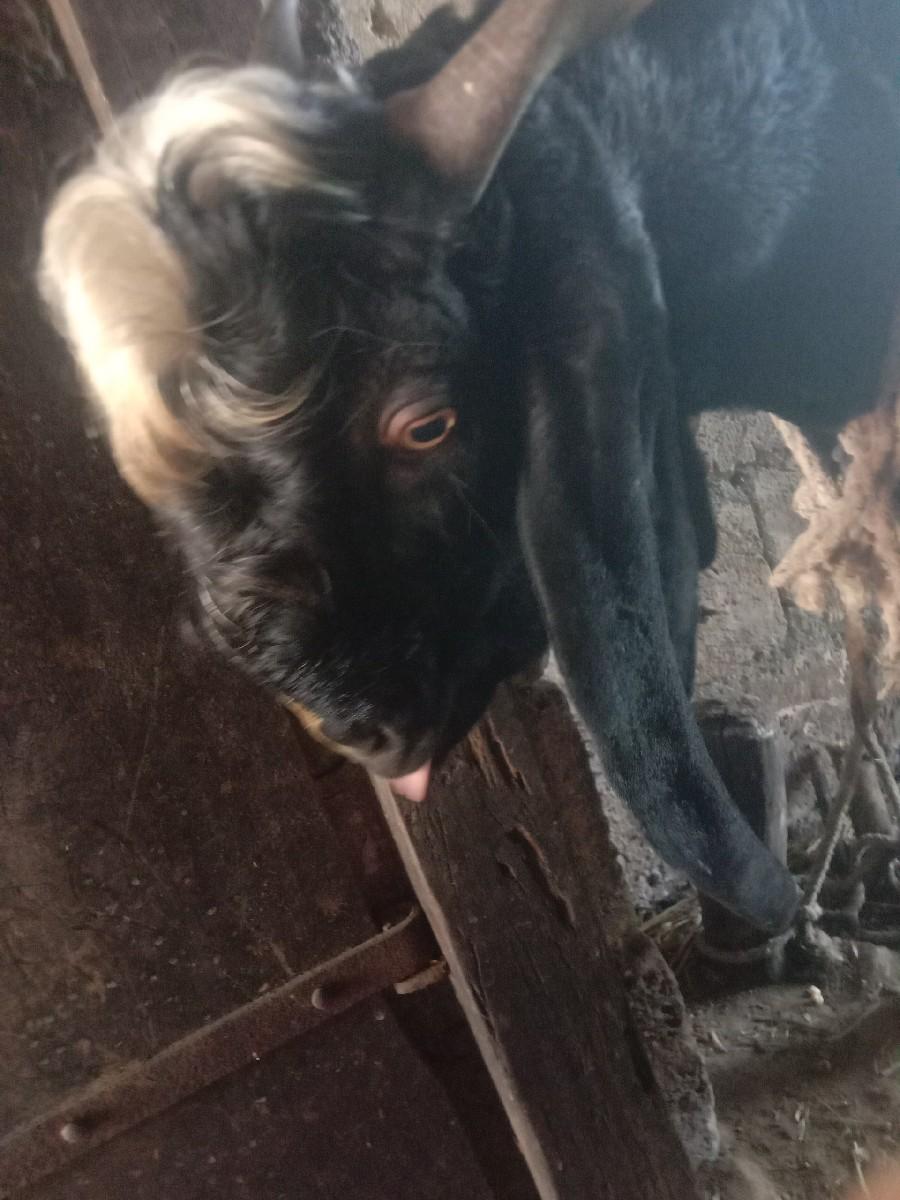 થંબનેલ 2