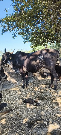 थंबनेल 3