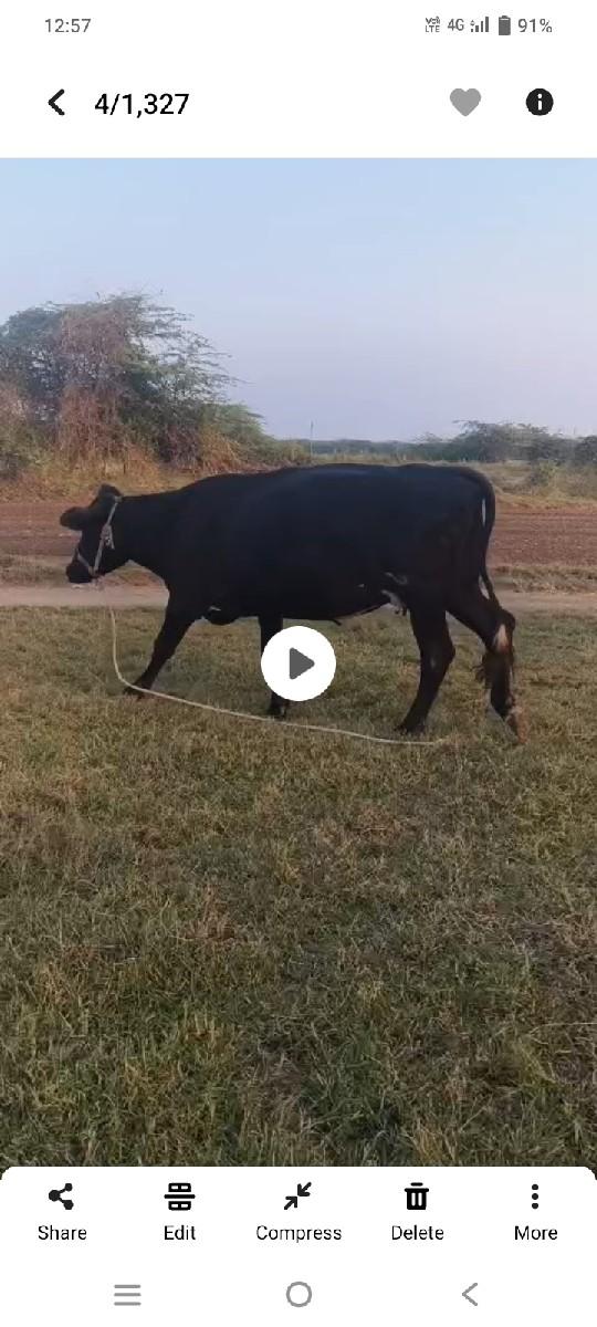 थंबनेल 3