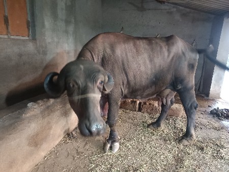 थंबनेल 2