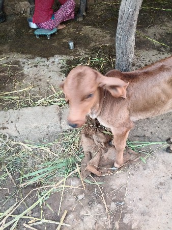 थंबनेल 3