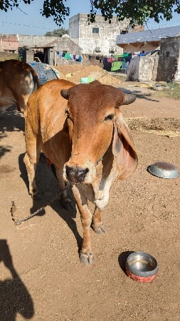 थंबनेल 2