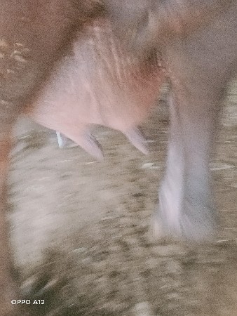 થંબનેલ 3