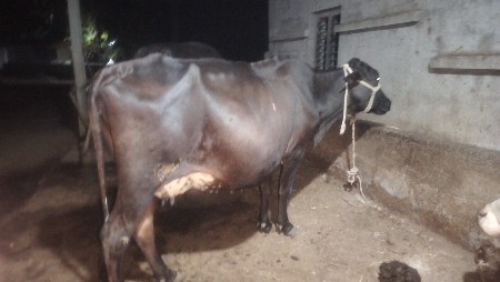 थंबनेल 2