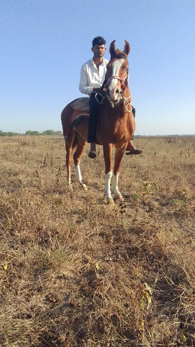 થંબનેલ 2