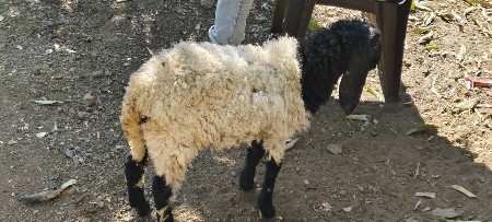 થંબનેલ 3