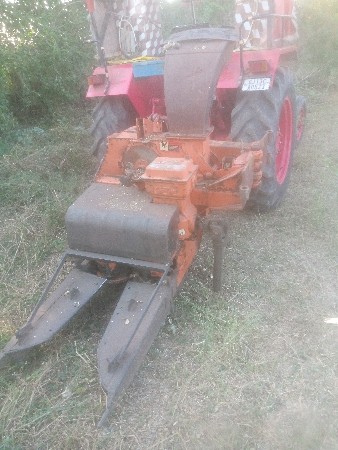 સેડર માસીન