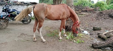 थंबनेल 2