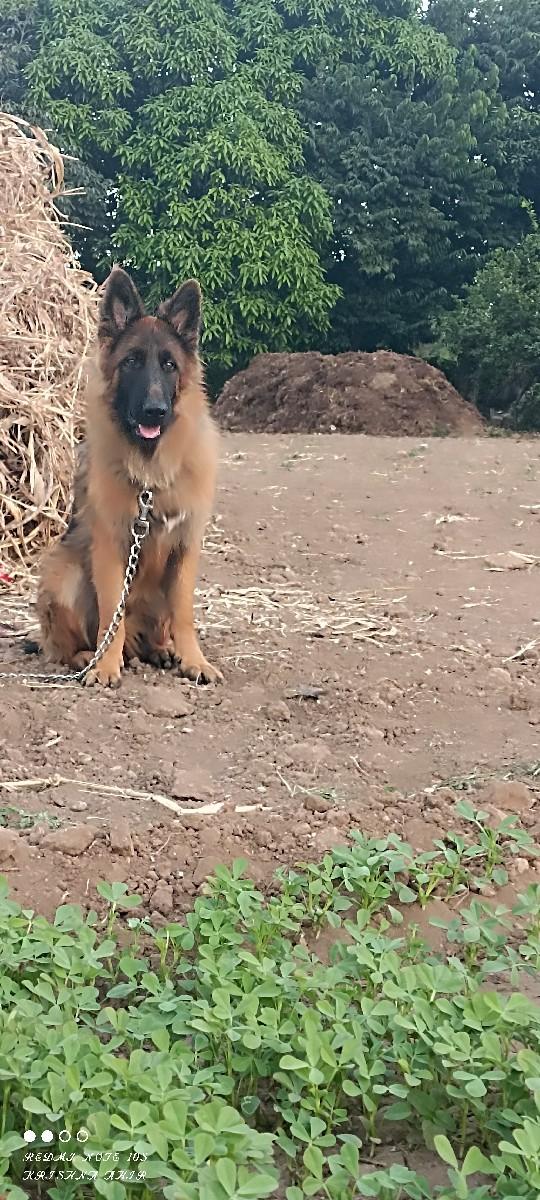 થંબનેલ 3