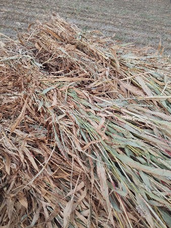 નીરણ વેચવાની છે