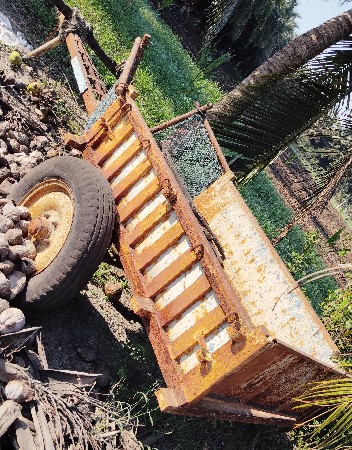 બળદ ગાડુ વેસવાનું છે