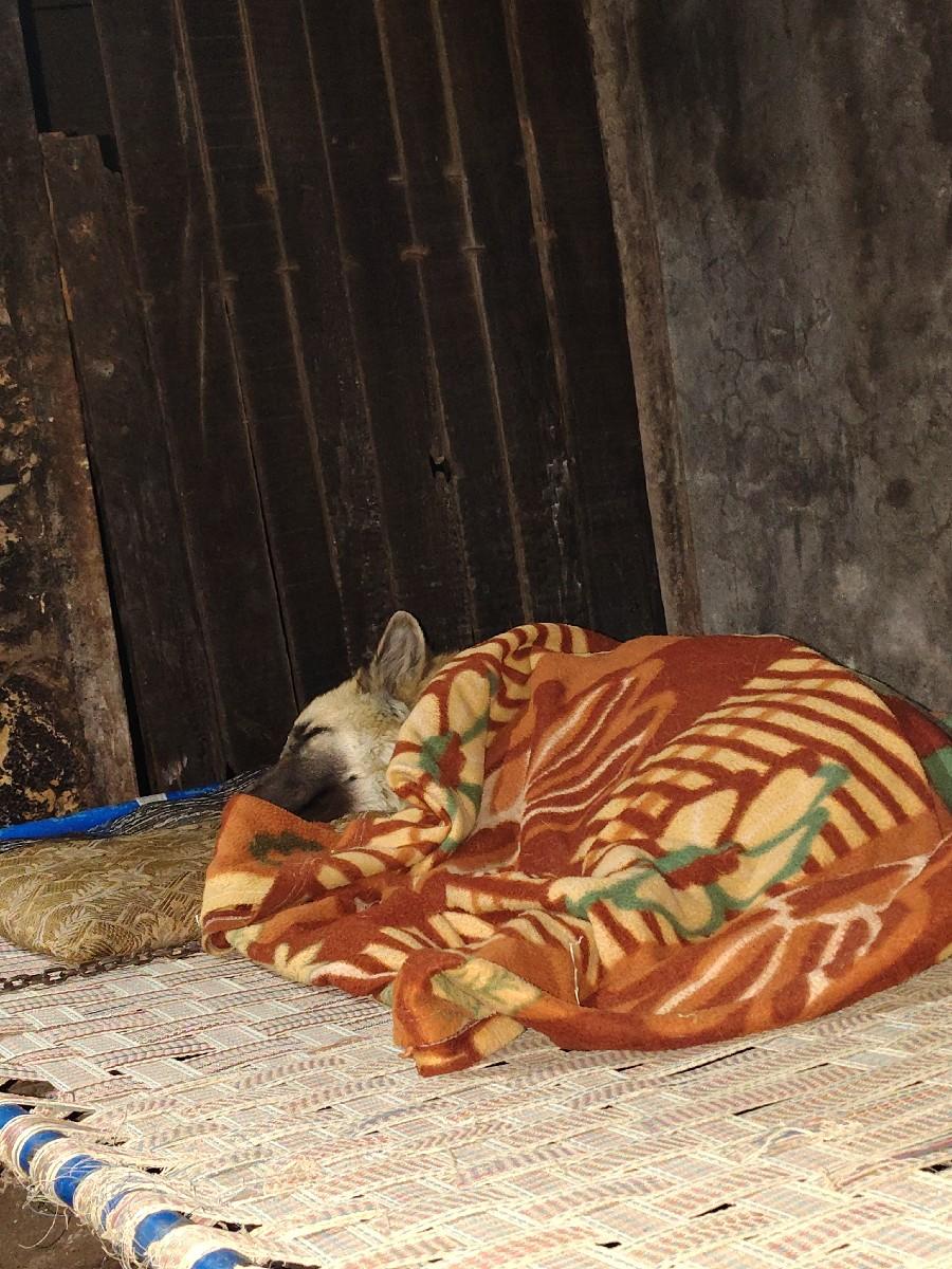 थंबनेल 3