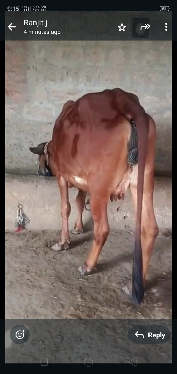 थंबनेल 2