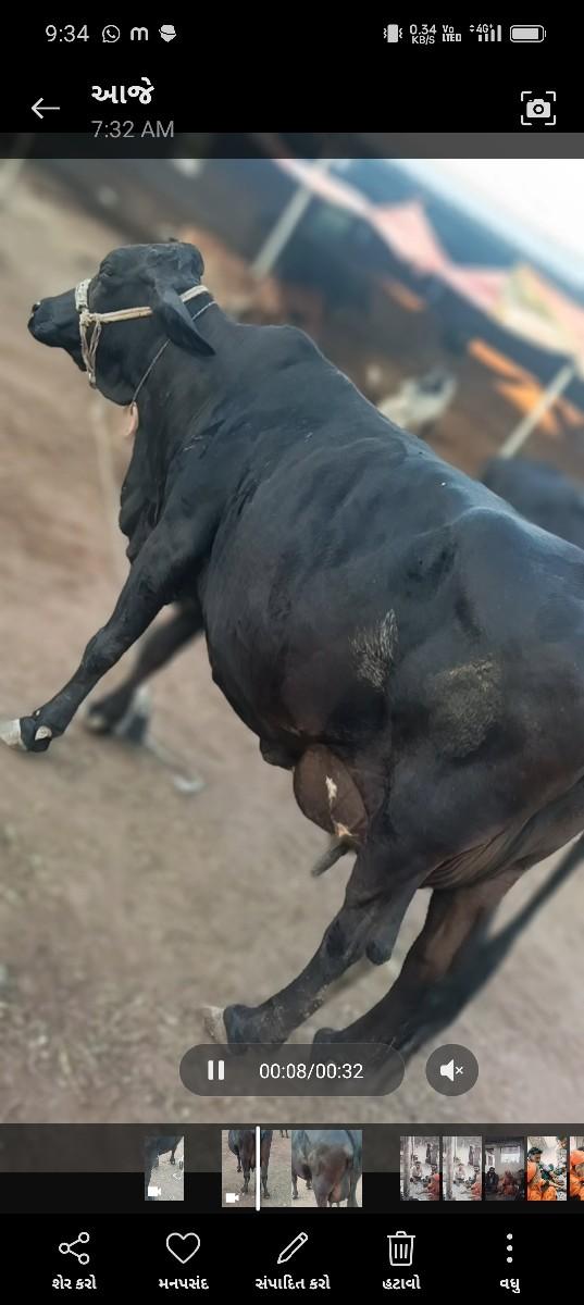 થંબનેલ 3