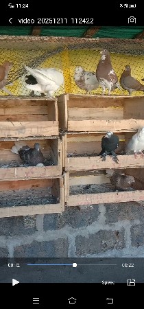 थंबनेल 3