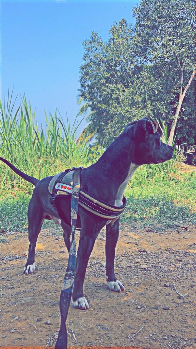 થંબનેલ 2