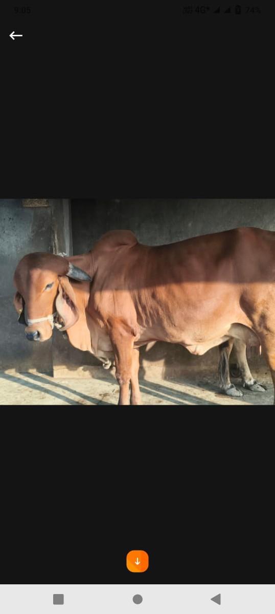 थंबनेल 2