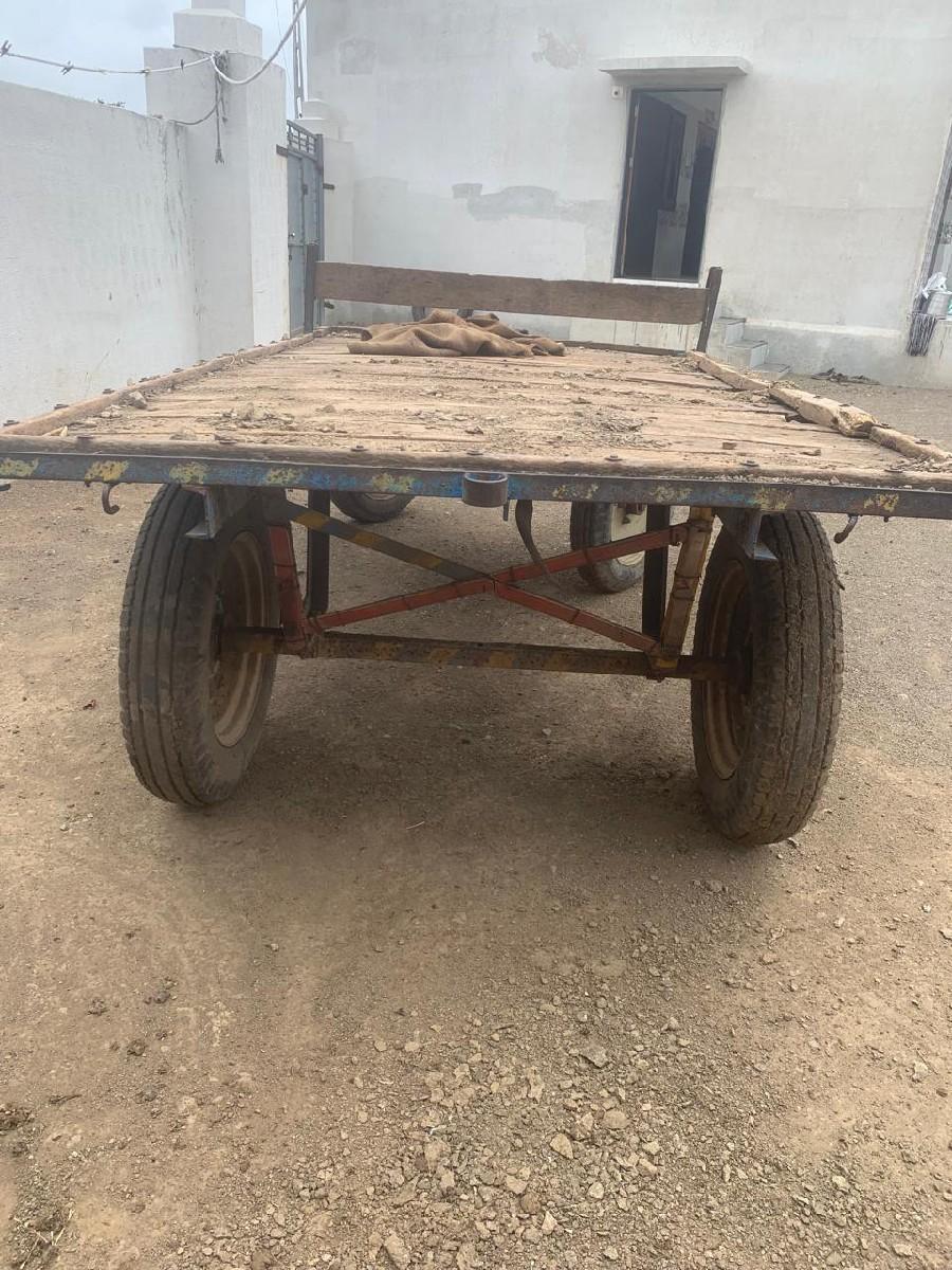 થંબનેલ 3