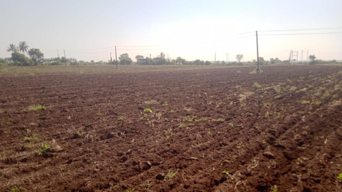 થંબનેલ 2