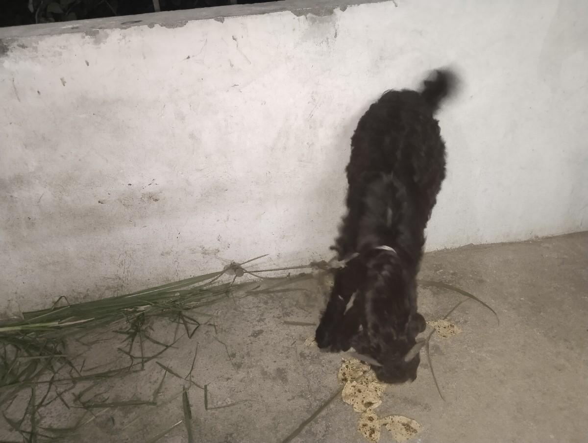 थंबनेल 2