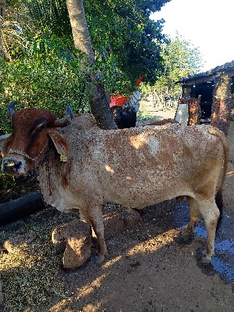 थंबनेल 2