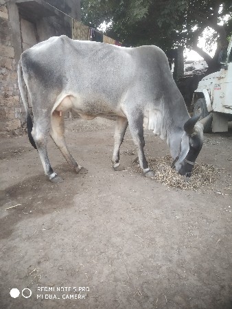 थंबनेल 2