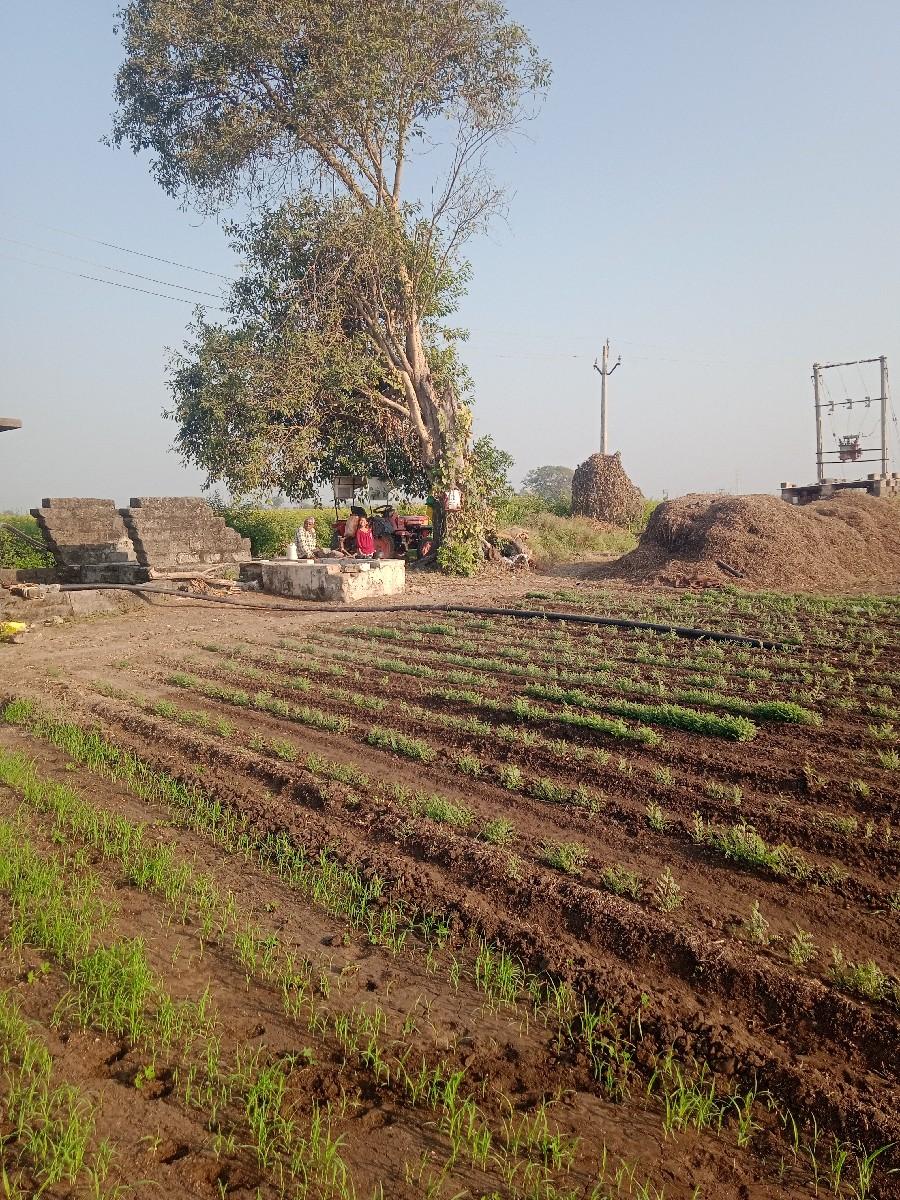 જમીન વેચવાની છે.