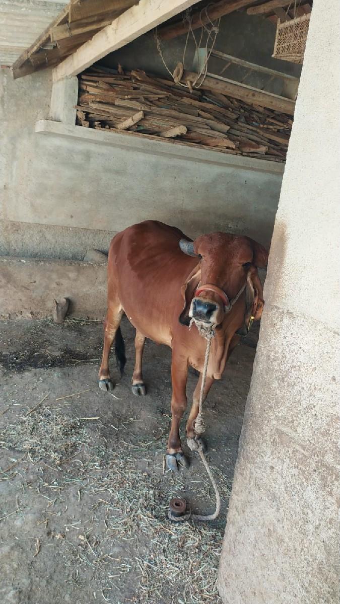 थंबनेल 2