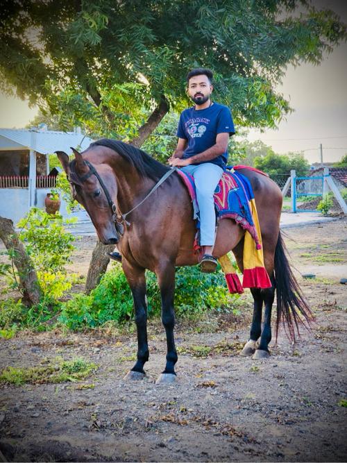 થંબનેલ 2