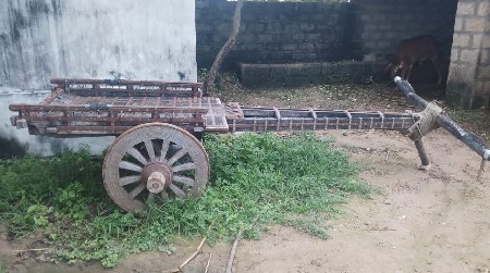 थंबनेल 2