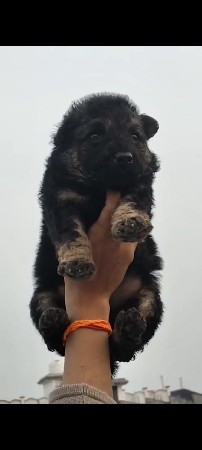 થંબનેલ 3