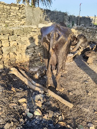 थंबनेल 2