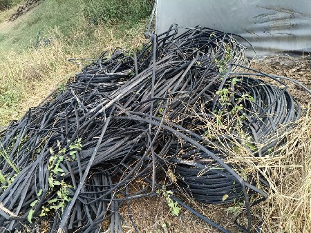 થંબનેલ 6