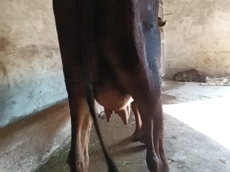 थंबनेल 3