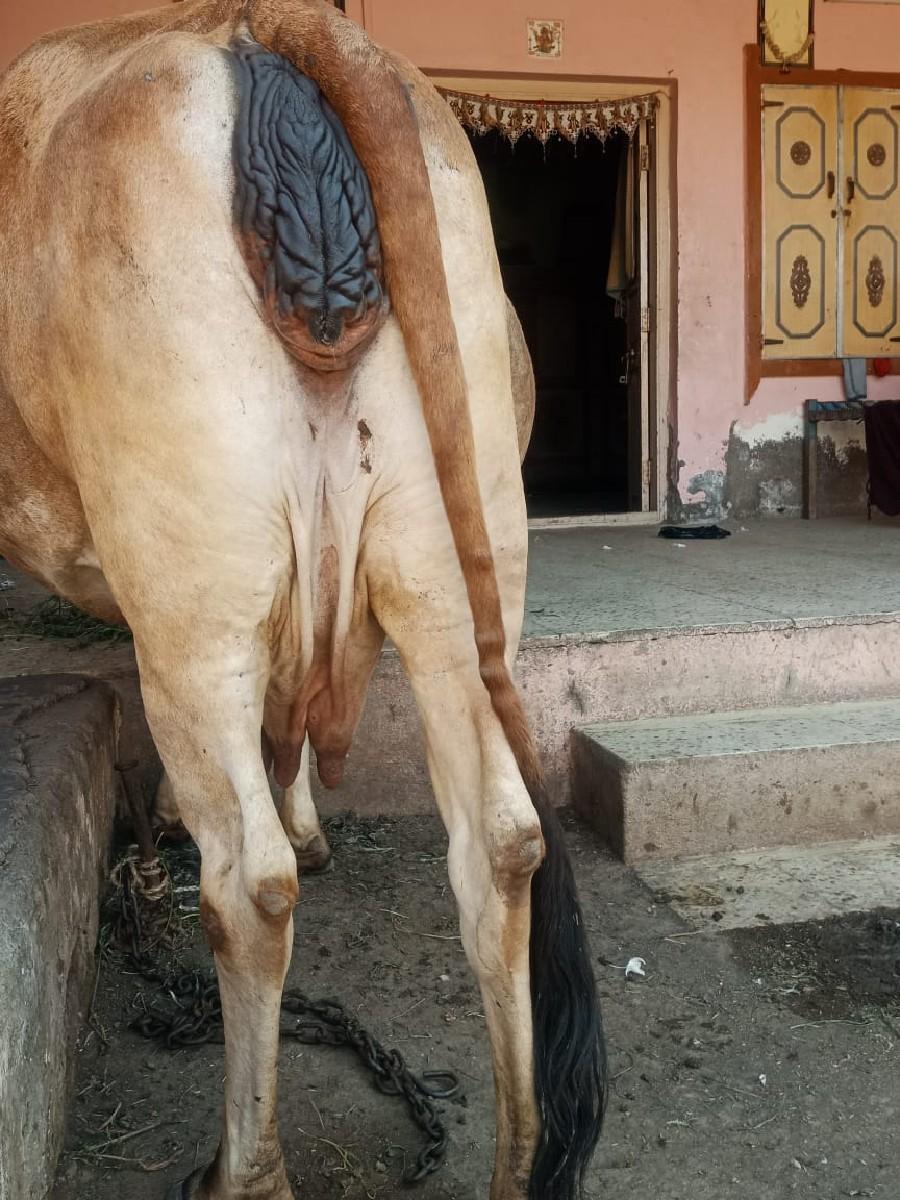 थंबनेल 2