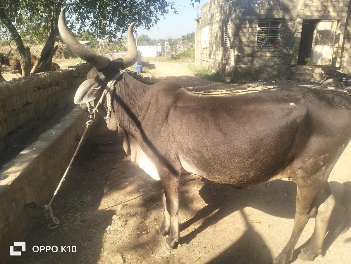 थंबनेल 2