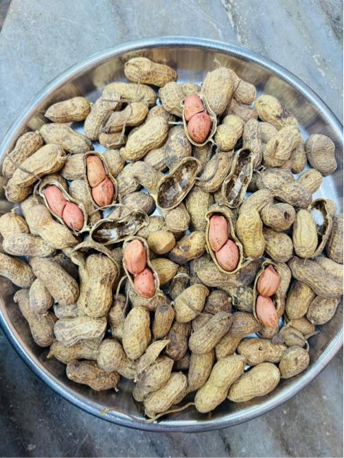 બીયારણની કોરી માંડવી વેચવાની છે
G-20