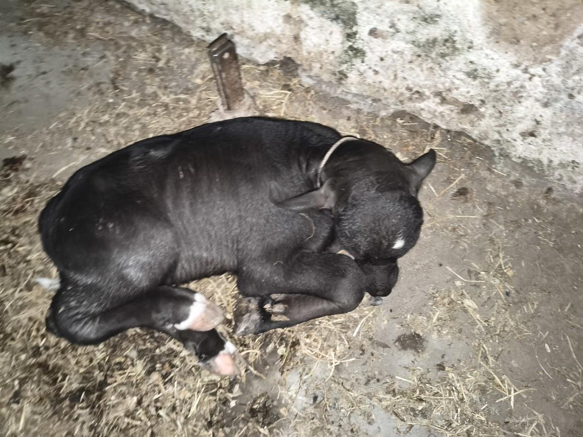 थंबनेल 3